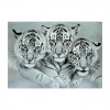 Noir Et Blanc Tigres - 5D Kit Broderie Diamants/Diamond Painting QB5066