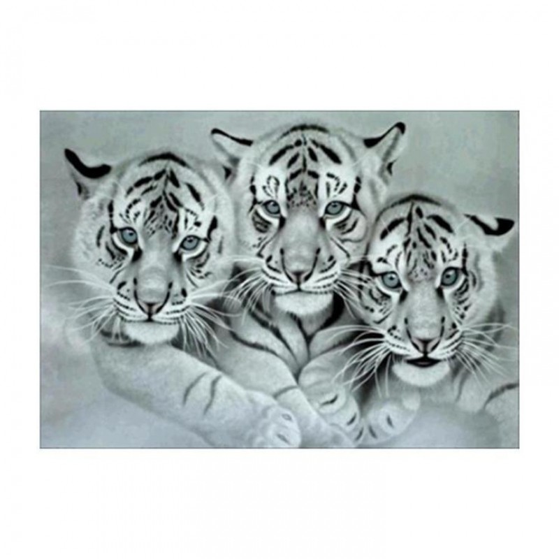 Noir Et Blanc Tigres...