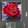 2019 Fleur Rose Rouge - 5D Kit Broderie Diamants/Diamond Painting VM1404