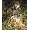 2019 Peinture À L’Huile Loups - 5D Kit Broderie Diamants/Diamond Painting VM8629