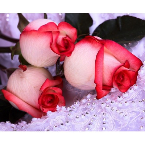 Nouvelle Arrivée Grosses Soldes Fleurs Roses - 5D Kit Broderie Diamants/Diamond Painting VM8141