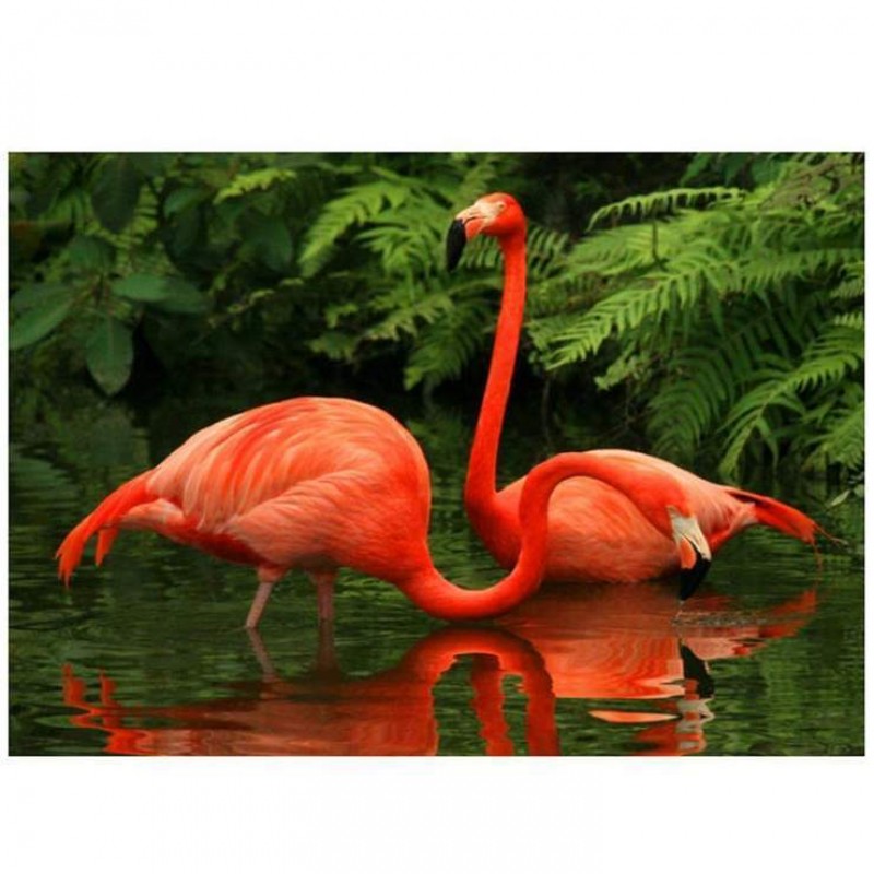Flamants Roses Brode...