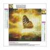 Fantaisie De Papillons - 5D Kit Broderie Diamants/Diamond Painting QB5711