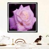 Série Rose Jolies Roses De Diverse Taille - 5D Kit Broderie Diamants/Diamond Painting AF9317