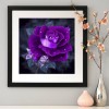 Tableau D'Une Rose Violette - 5D Kit Broderie Diamants/Diamond Painting AF9308
