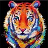 2019 Animal Tigre Coloré - 5D Kit Broderie Diamants/Diamond Painting VM20241