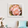 Aquarelle Série De Roses Roses - 5D Kit Broderie Diamants/Diamond Painting AF9305