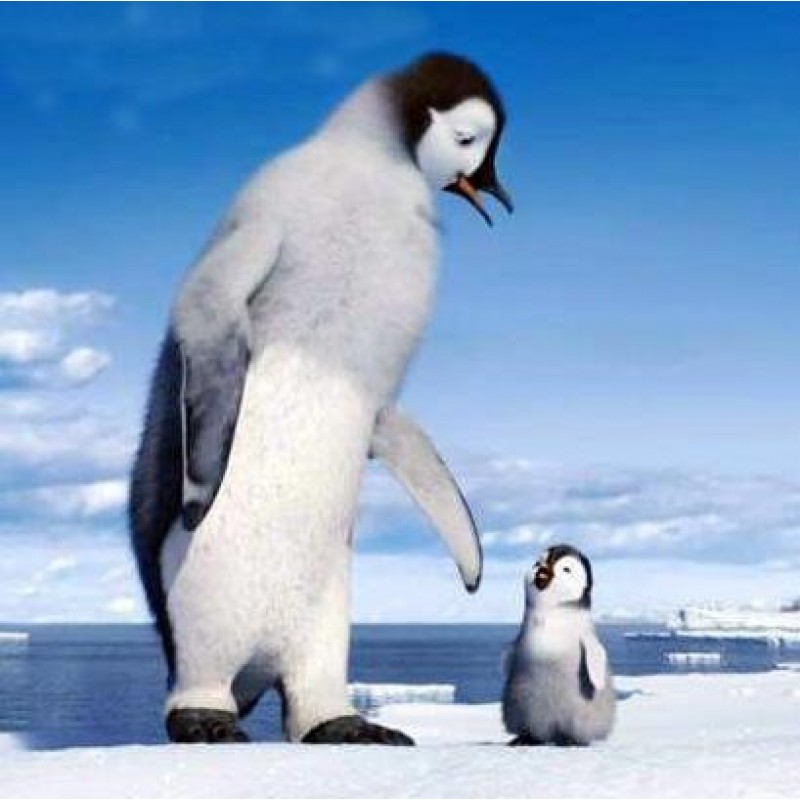 Pingouins Broderie D...