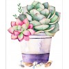 Tableau De Plantes Succulentes  - 5D Kit Broderie Diamants/Diamond Painting NA0348